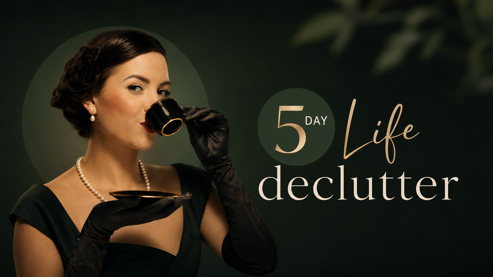 5 day life declutter new banner